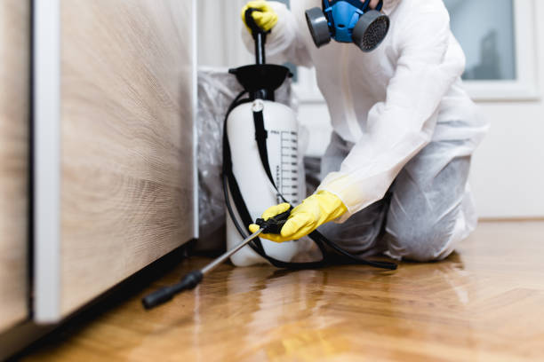 Professional Pest Control in Hampton Manor, NY
