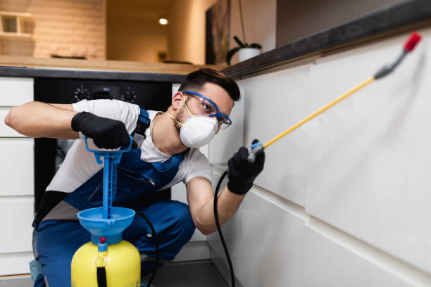 Pest Control Cost in Hampton Manor, NY