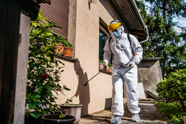Best Best Pest Control Companies  in Hampton Manor, NY