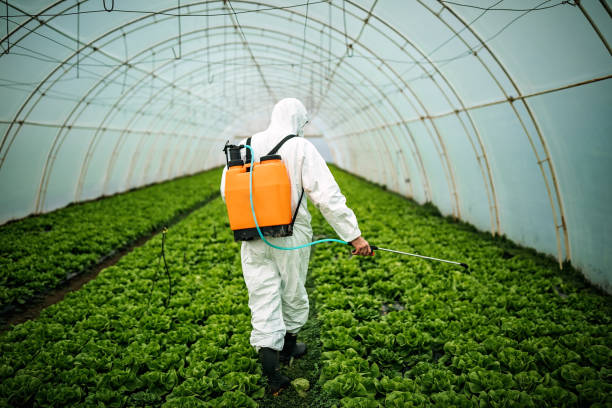 Best Mosquito Control Services  in Hampton Manor, NY