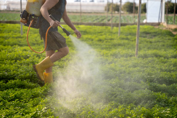 Best Best Pest Control Companies  in Hampton Manor, NY