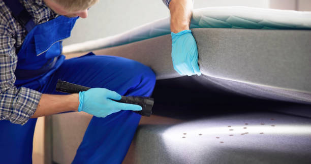 Best Pest Control for Restaurants  in Hampton Manor, NY