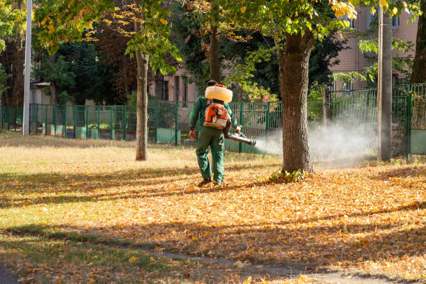 Best Cockroach Control Services  in Hampton Manor, NY