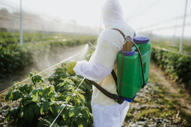 Best Best Pest Control Companies  in Hampton Manor, NY